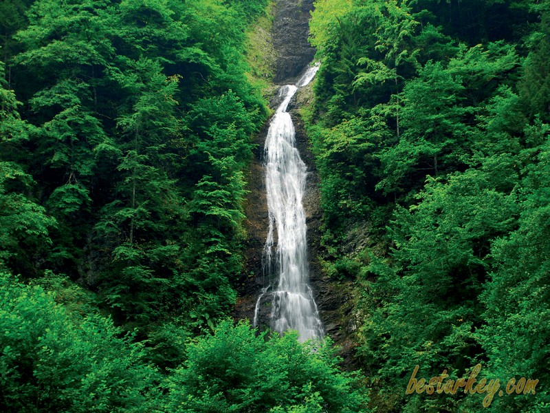 Rize Waterfall