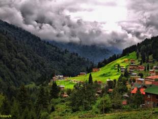 Ayder Plateau-Trabzon